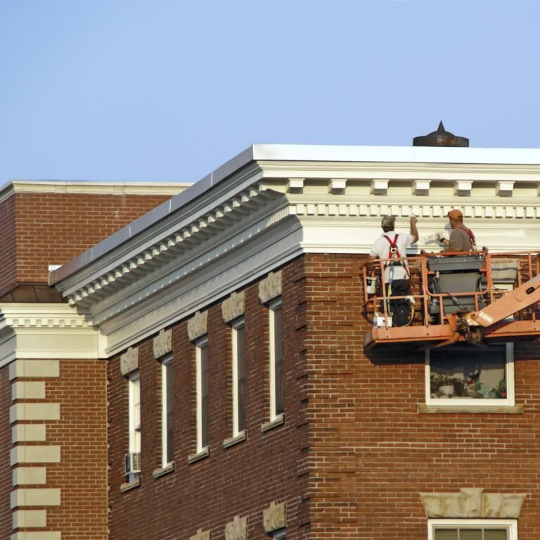 Diseño sin título (1)